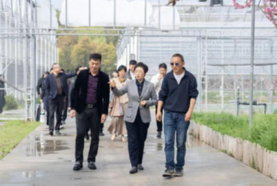 屏幕截图 2026-04-02 120459.png