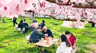 屏幕截图 2026-04-02 120520.png